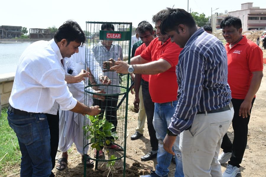 Energy Beverages Celebrated World Environment Day  With Tree Plantation Drive