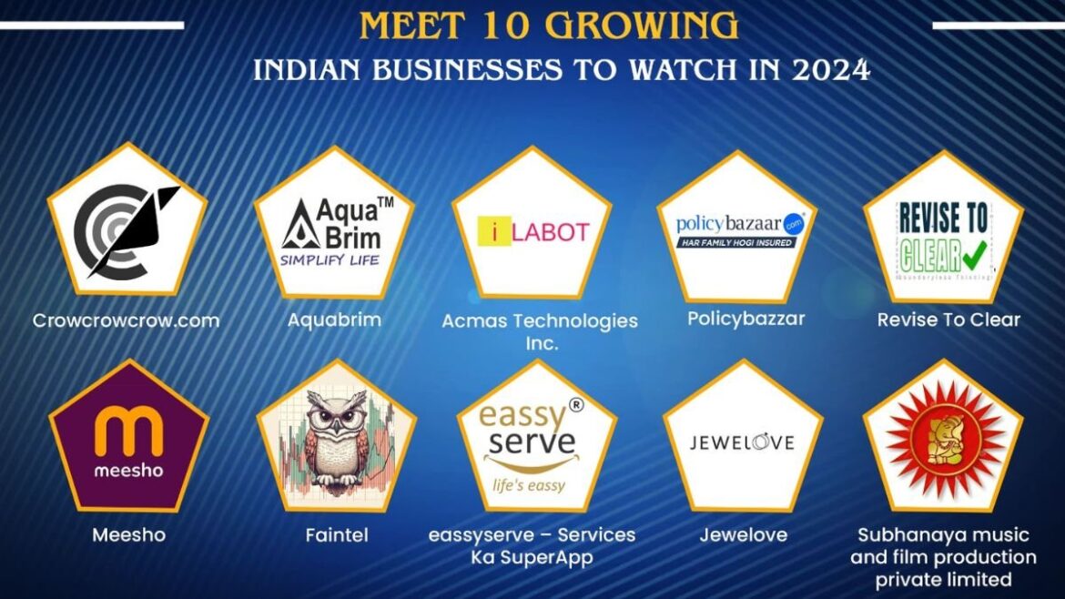 Meet 10 Growing Indian Businesses to Watch in 2024